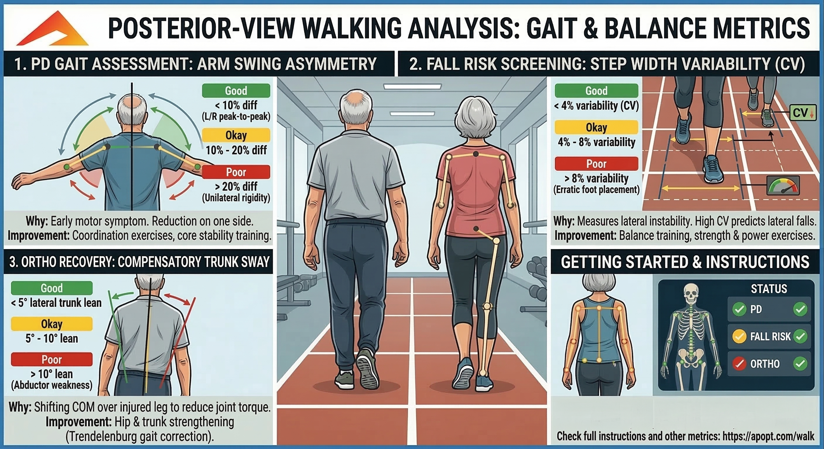 Posterior-view walking analysis for gait and balance metrics